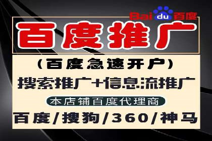 案例解析：竞价推广代运营如何优化广告投放